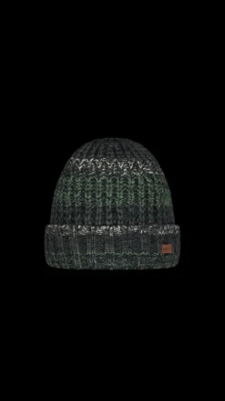 Barts Akotan Beanie green Online