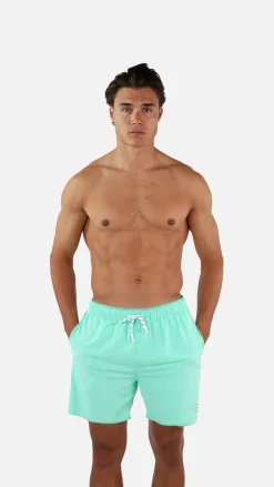 Barts Alroy Shorts light celadon Online