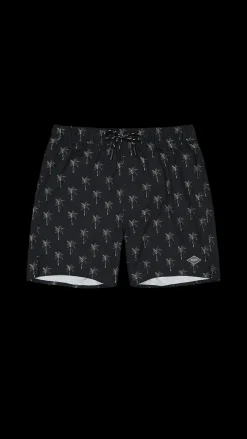Barts Bernardou Shorts black Online