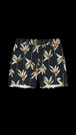 Barts Fervis Shorts navy Sale