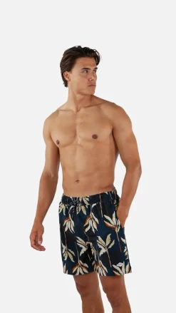 Barts Fervis Shorts navy Sale