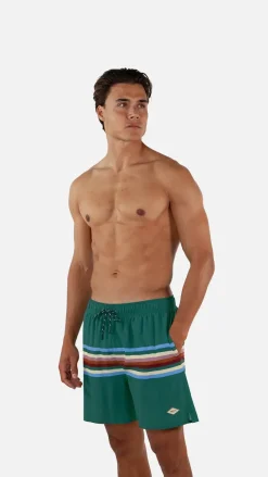 Barts Gurrad Shorts cedar