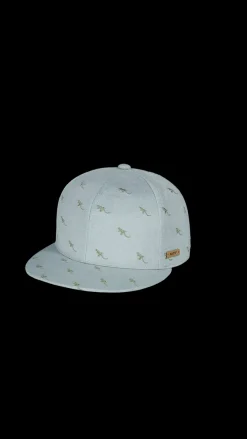 Barts Pauk Cap sage Best