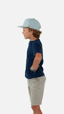 Barts Pauk Cap sage Best